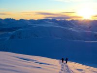 Guide | Tromsø