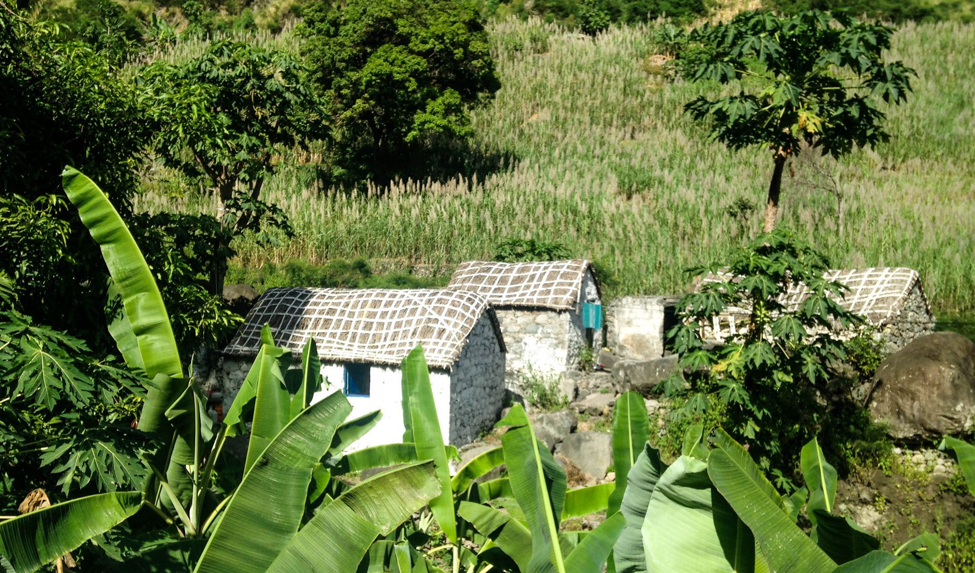 Blog | Vandretur med spædbarn på Kap Verde – Santiago og Santo Antão
