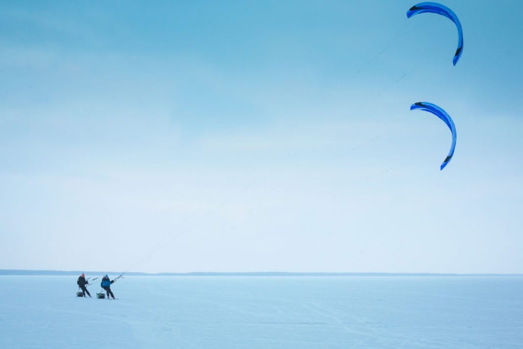 Alliance-kite_web