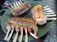 Test | Petromax Griddle & Fire Bowl