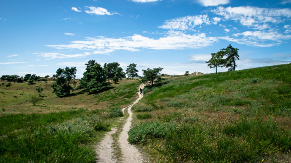 Guide | De bedste vandrestøvler og vandresko til sommerhalvåret i Danmark
