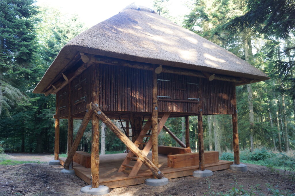 Shelter i Dyreborg Skov