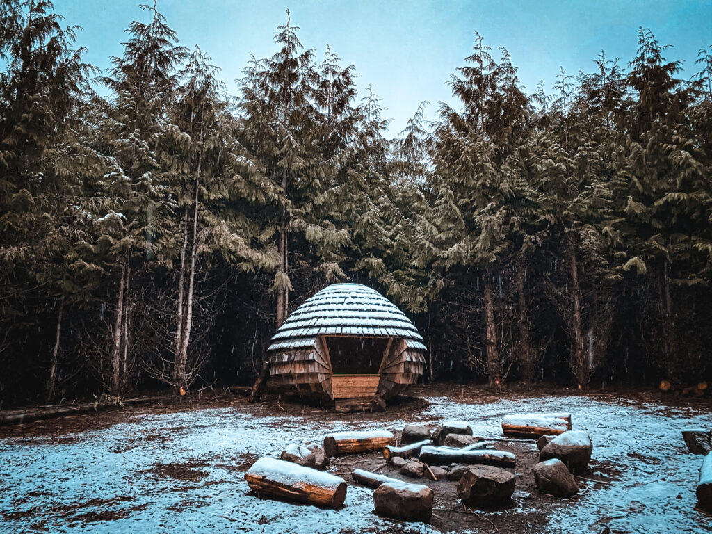 Unikke shelters I Danmark - Koglen True Skov