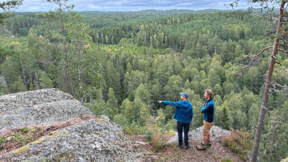 Blog | 4 venner på Sevedeleden, Småland